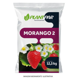 Morango 2 - 12,5 kg