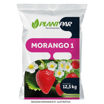Morango 1 - 12,5 kg